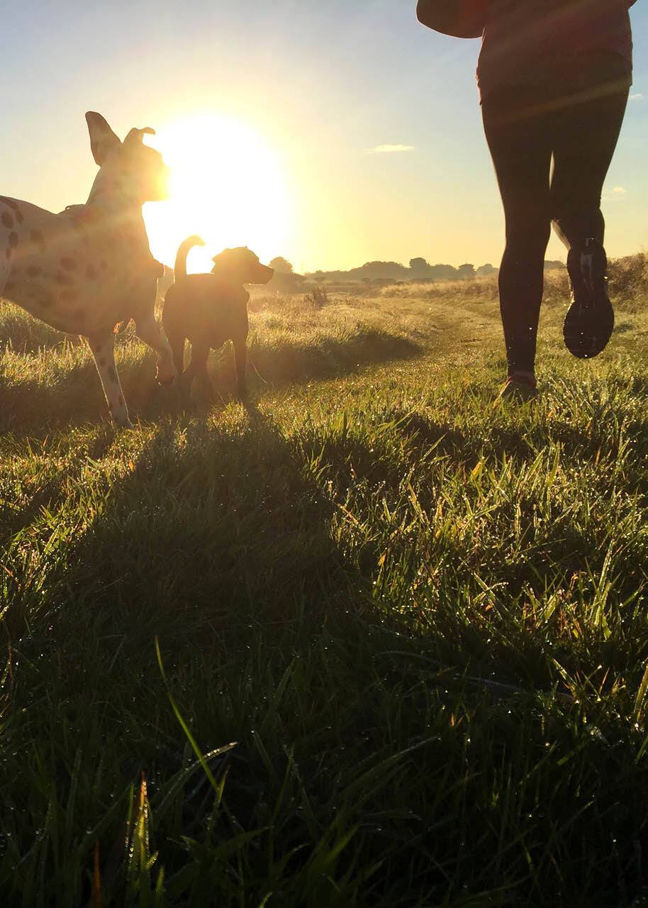 Running in field with dogs